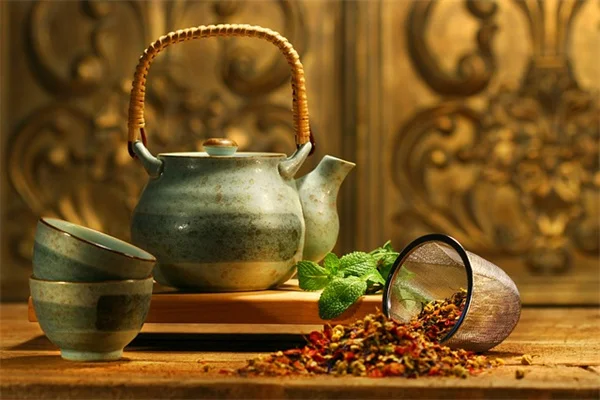 庭のゴミの正しい処分方法：実践者が教える5つのチェックポイント